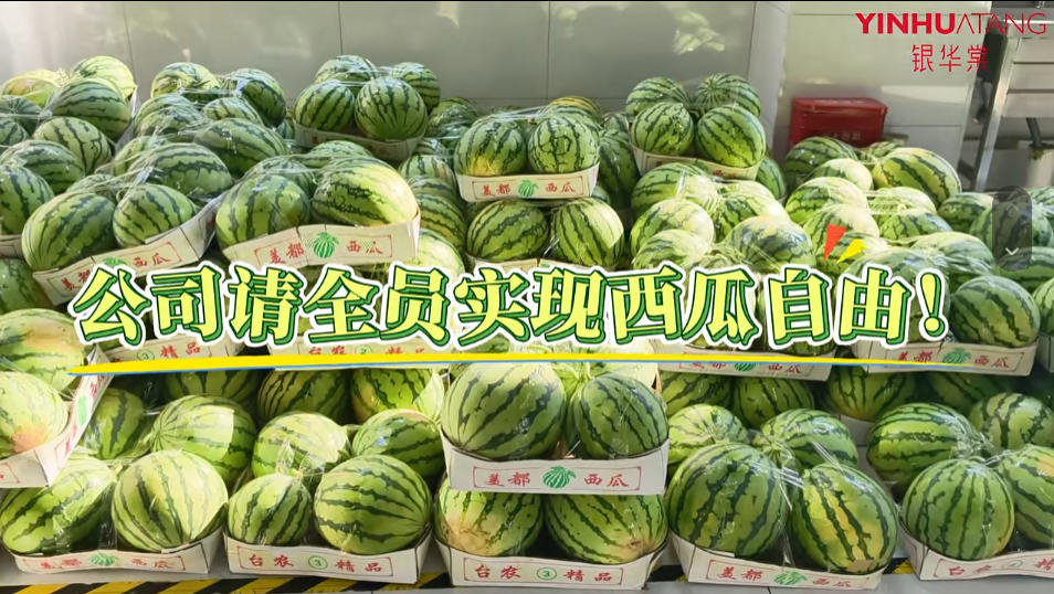 西瓜自由